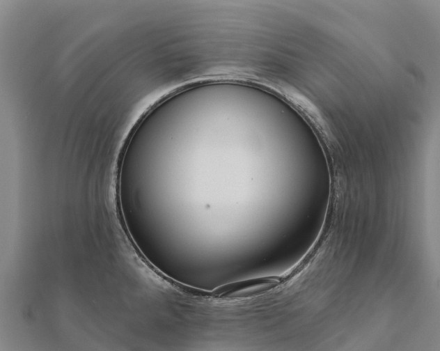 X0000112101288200908181317