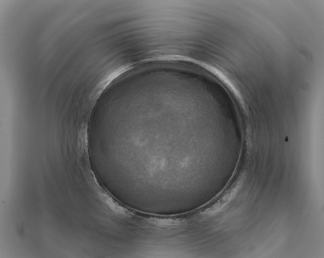 X0000112101289200908181317