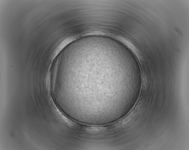X0000112101290200908181317