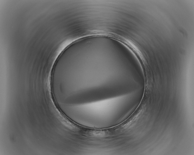 X0000112101291200908181317