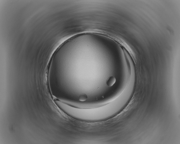 X0000112101292200908181317