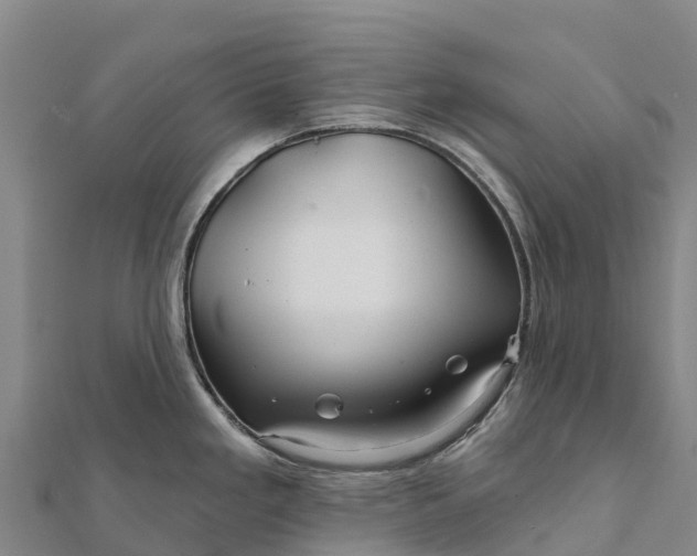 X0000112101293200908181317