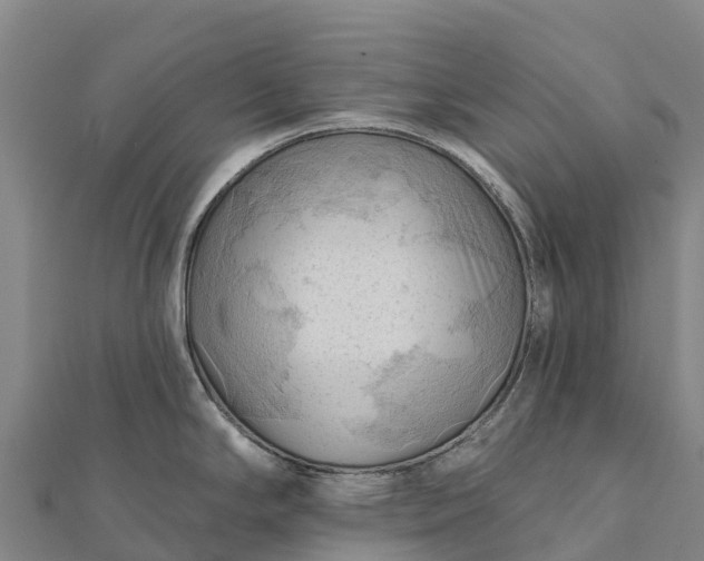 X0000112101294200908181317