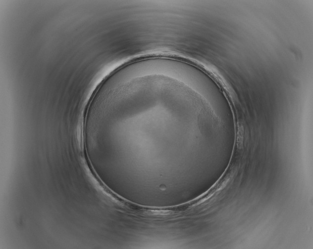 X0000112101295200908181317