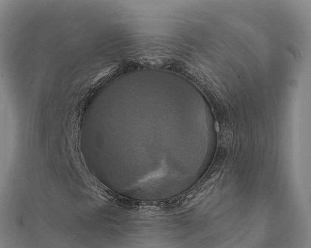 X0000112101297200908181316