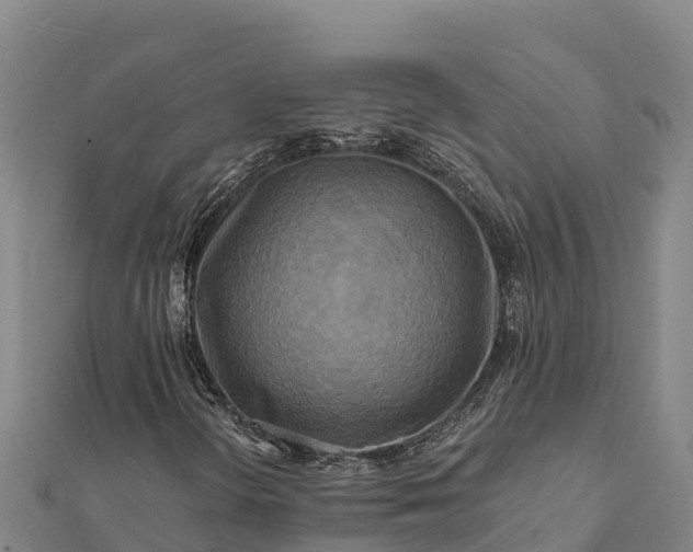 X0000112101298200908181316