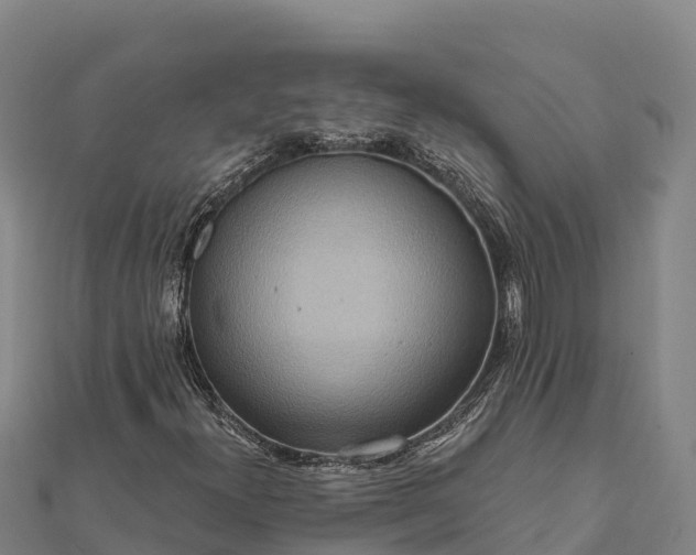 X0000112101300200908181316