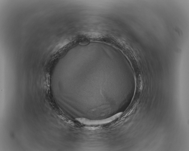 X0000112101301200908181316