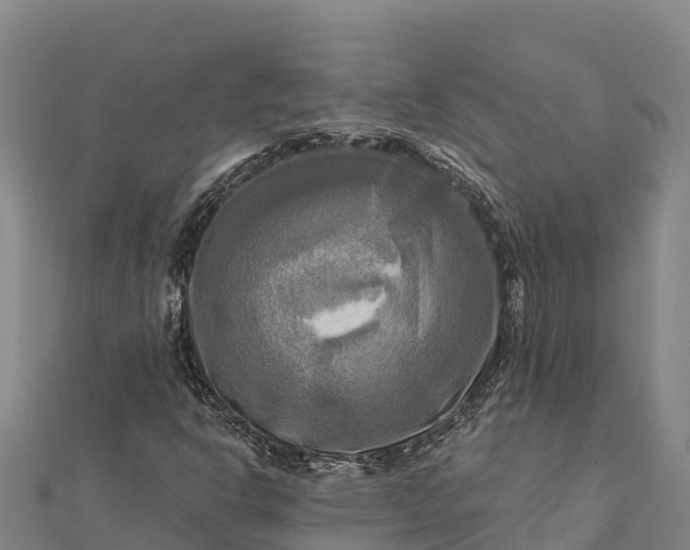 X0000112101302200908181316
