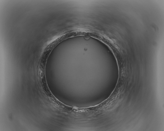 X0000112101303200908181316