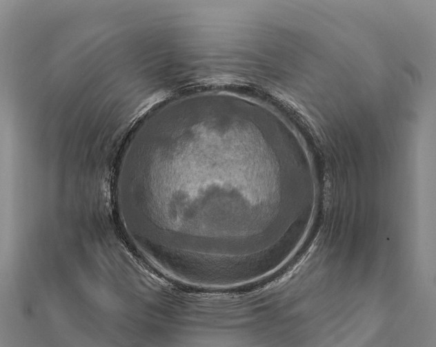 X0000112101305200908181316