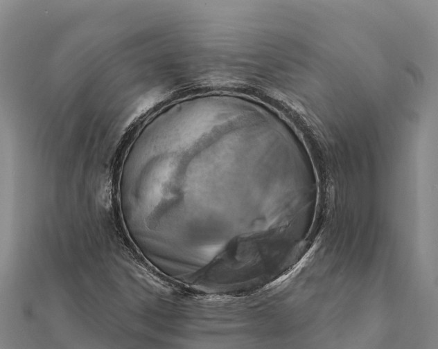 X0000112101306200908181316
