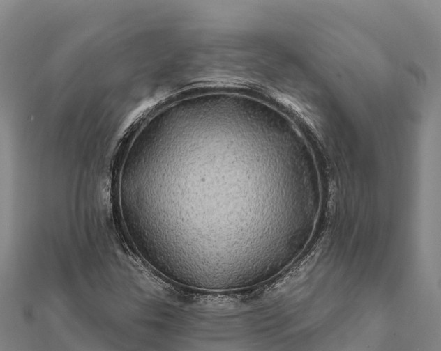 X0000112101307200908181316