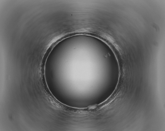 X0000112101308200908181316