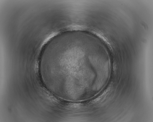 X0000112101309200908181316
