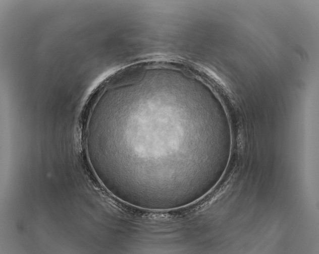 X0000112101310200908181316