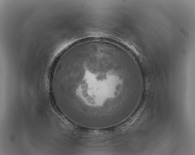 X0000112101311200908181316