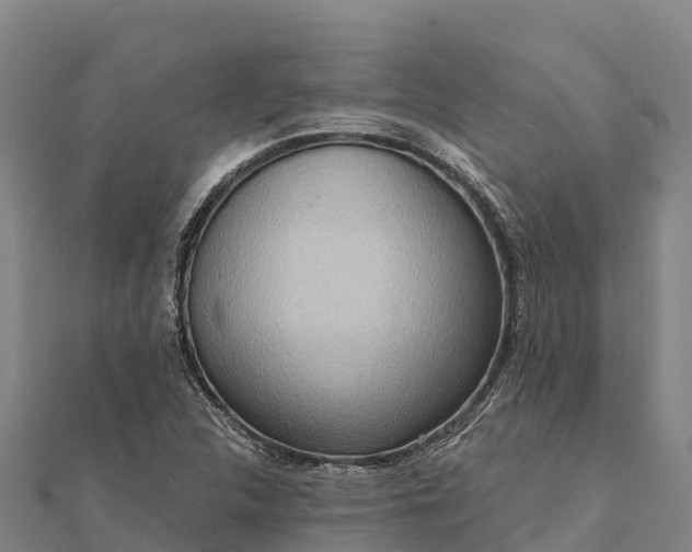 X0000112101312200908181316