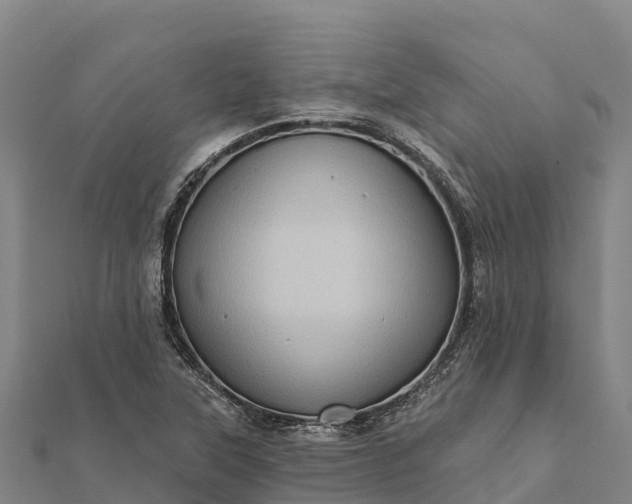 X0000112101315200908181316