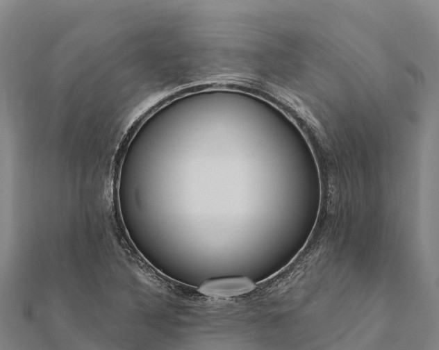 X0000112101316200908181316