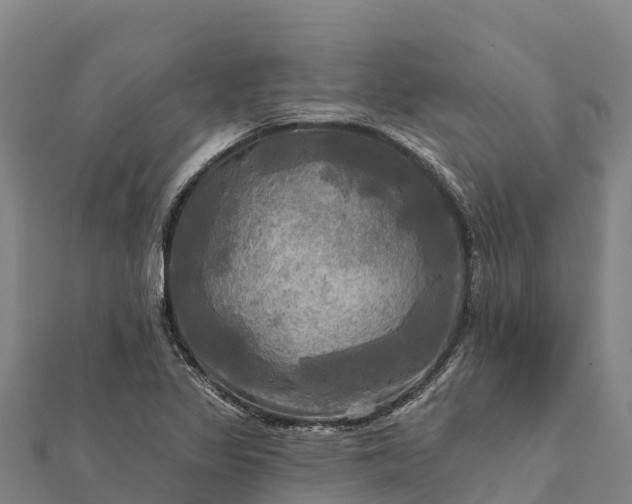 X0000112101317200908181317