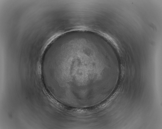 X0000112101318200908181317