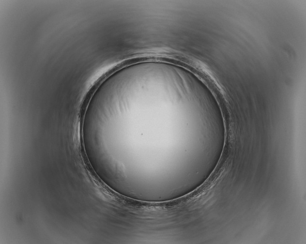 X0000112101320200908181317