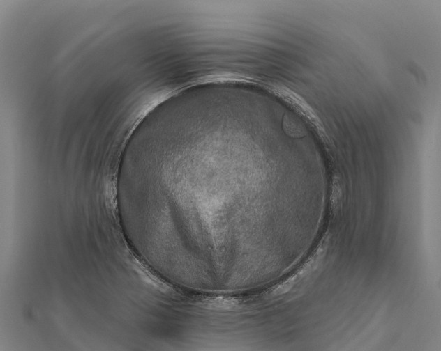 X0000112101321200908181317
