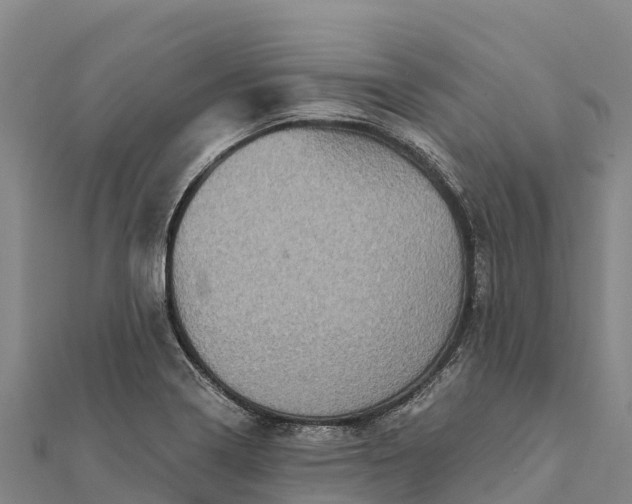 X0000112101322200908181317