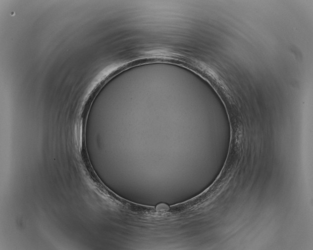 X0000112101323200908181317