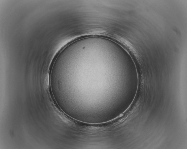 X0000112101324200908181317