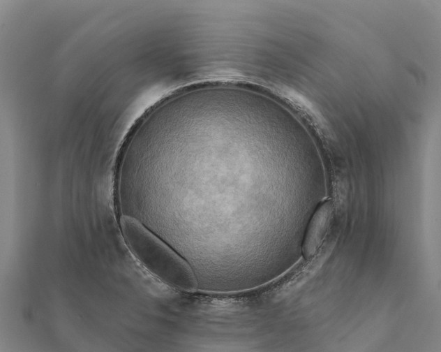 X0000112101326200908181317
