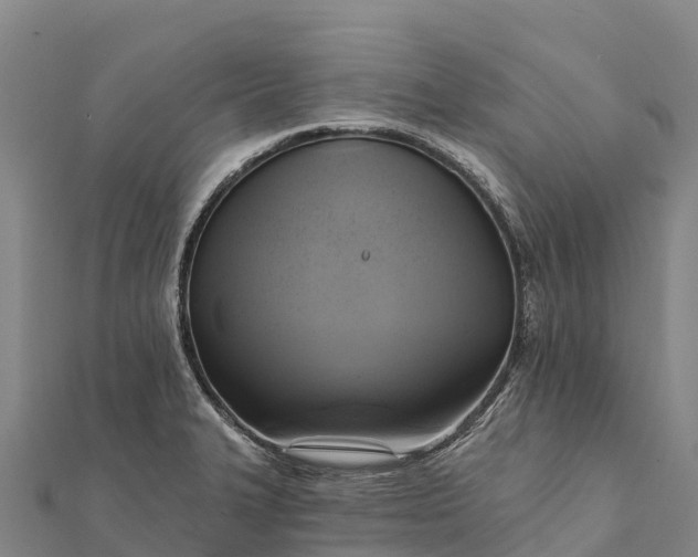 X0000112101327200908181317