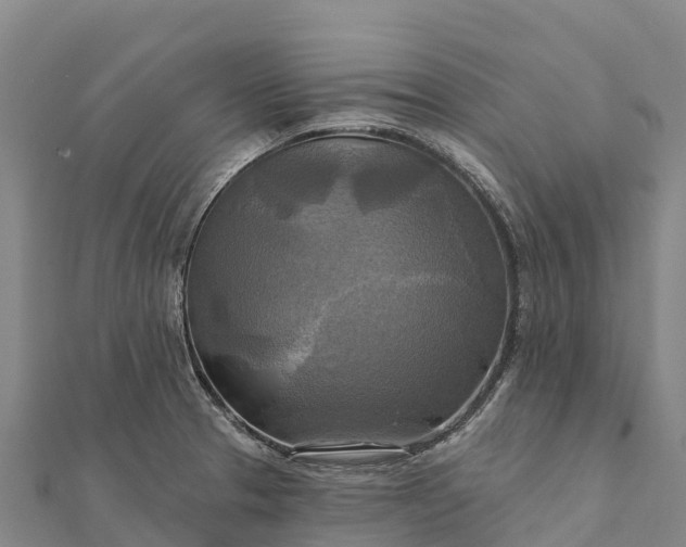 X0000112101329200908181317