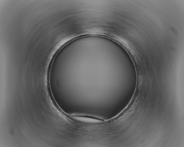 X0000112101331200908181317