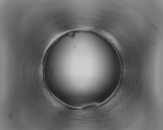 X0000112101332200908181317