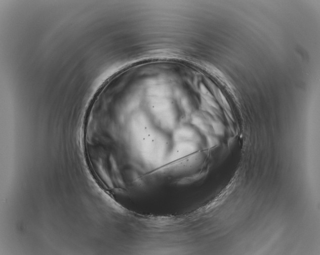 X0000112101334200908181317