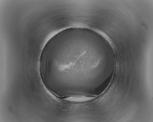 X0000112101335200908181317