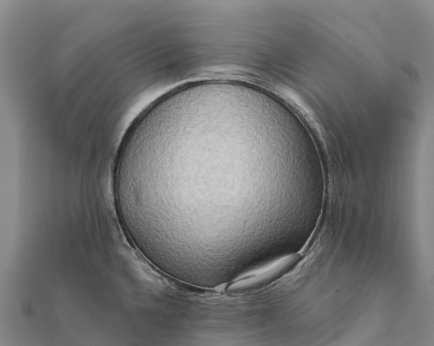 X0000112101336200908181317