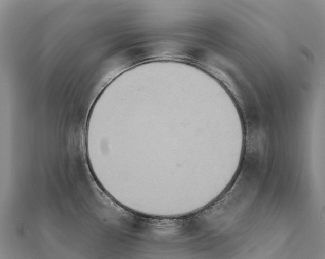 X0000112101338200908181317