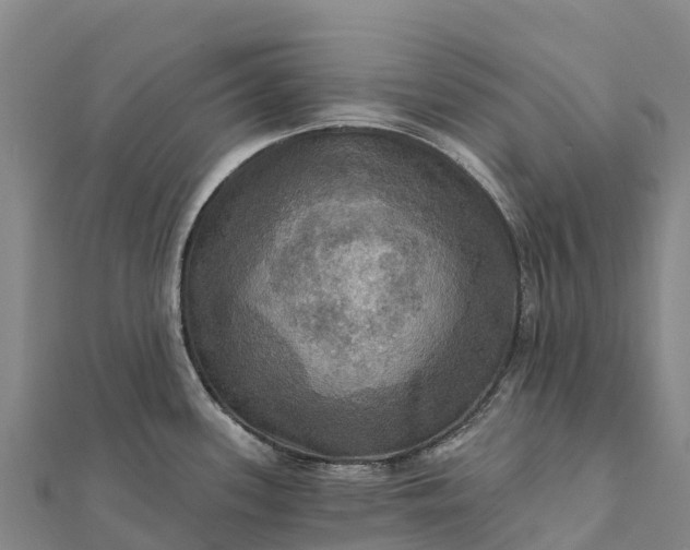 X0000112101339200908181317
