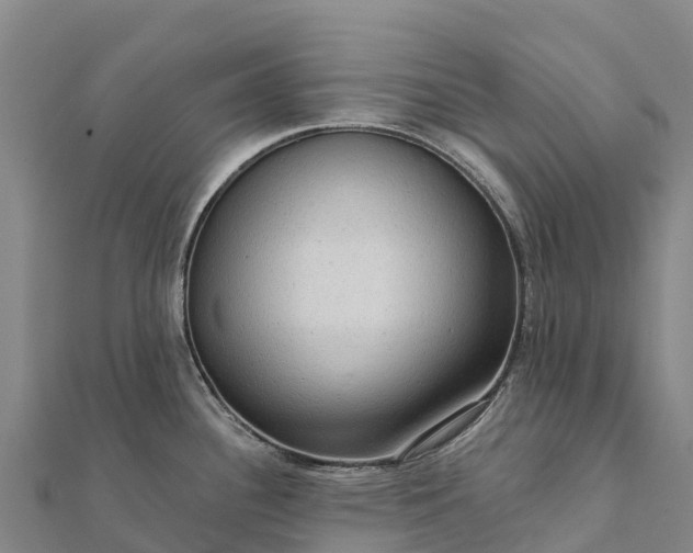 X0000112101340200908181317