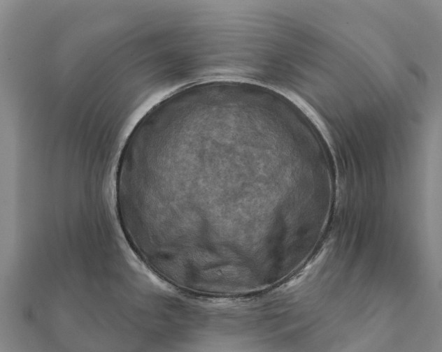 X0000112101341200908181317