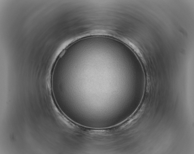 X0000112101342200908181317