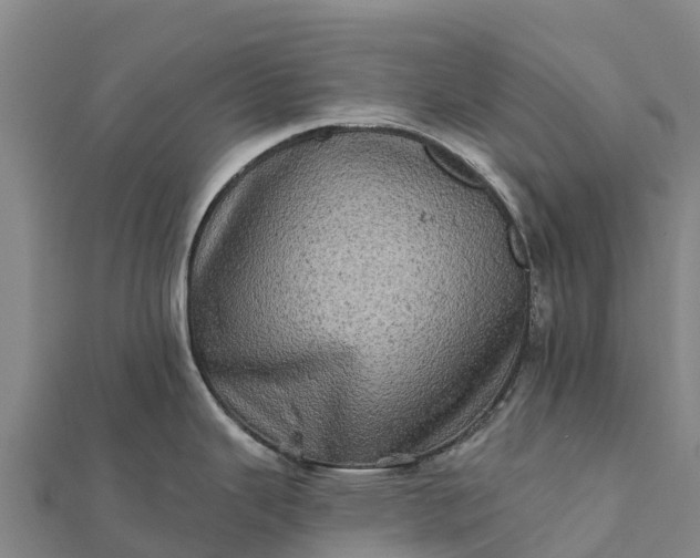 X0000112101343200908181317