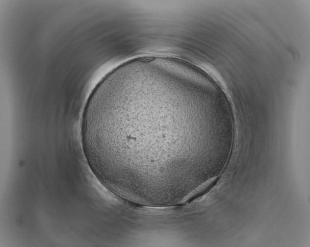 X0000112101344200908181317