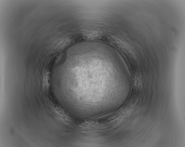 X0000112101346200908181316