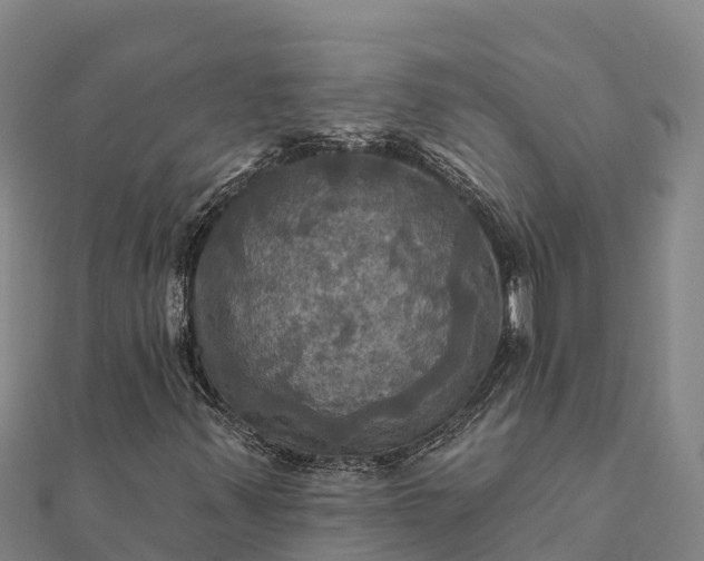 X0000112101347200908181316