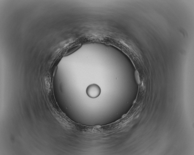 X0000112101348200908181316