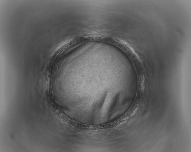 X0000112101350200908181316